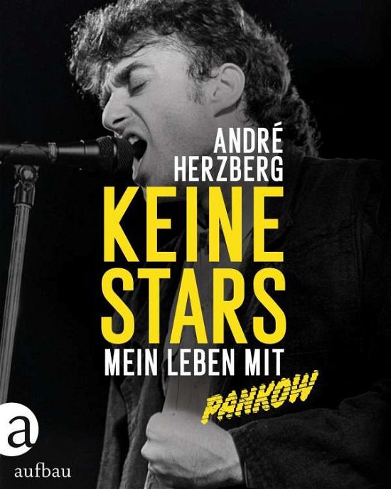 Cover for André Herzberg · Keine Stars (Hardcover bog) (2021)