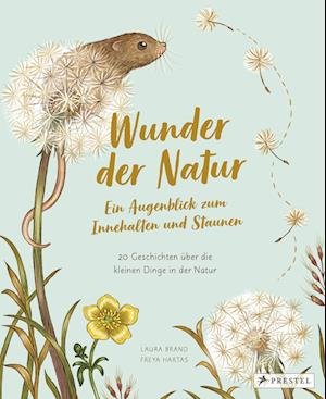Cover for Laura Brand · Wunder der Natur. Ein Augenblick zum Innehalten und Staunen (Book) (2023)