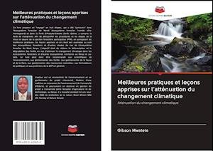 Cover for Mwatete · Meilleures pratiques et leçons (Book)