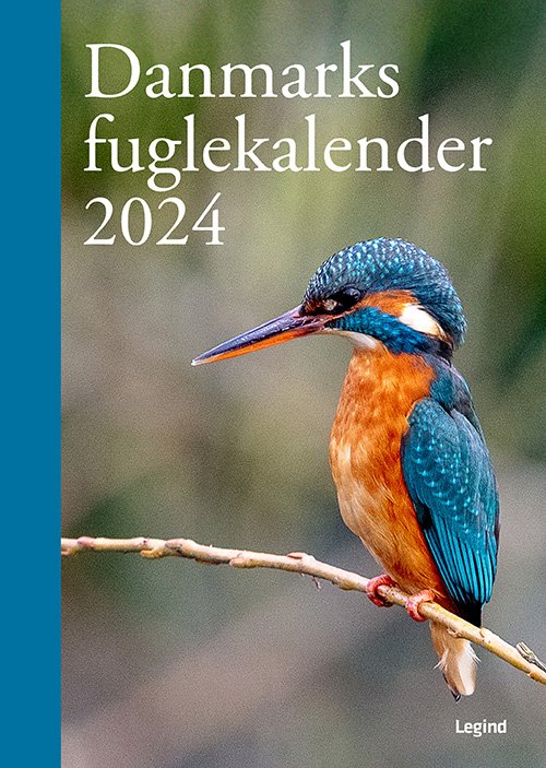 Cover for Søren Olsen · Danmarks Fuglekalender 2024 (Bound Book) [1er édition] (2023)