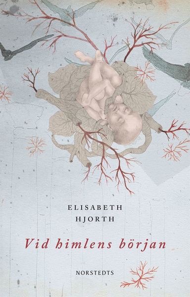 Cover for Elisabeth Hjorth · Vid himlens början (ePUB) (2013)