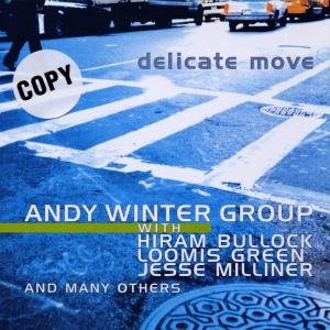 Delicate Move - Andy Winter Group - Musik - VILLAGE - 0090204942435 - 5. september 2002