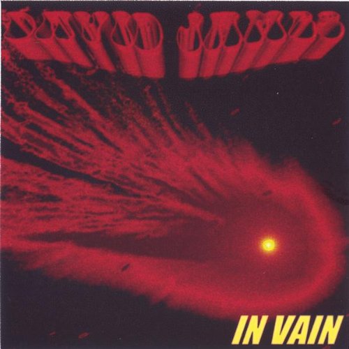 Cover for David James · In Vain (CD) (2005)