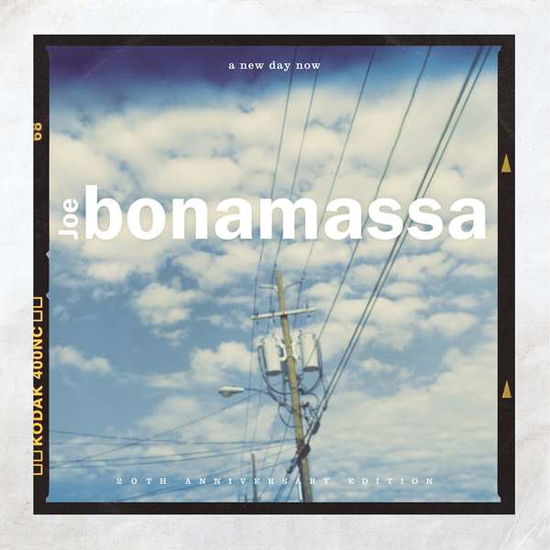 Cover for Joe Bonamassa · A New Day Now (LP) [Anniversary edition] (2020)