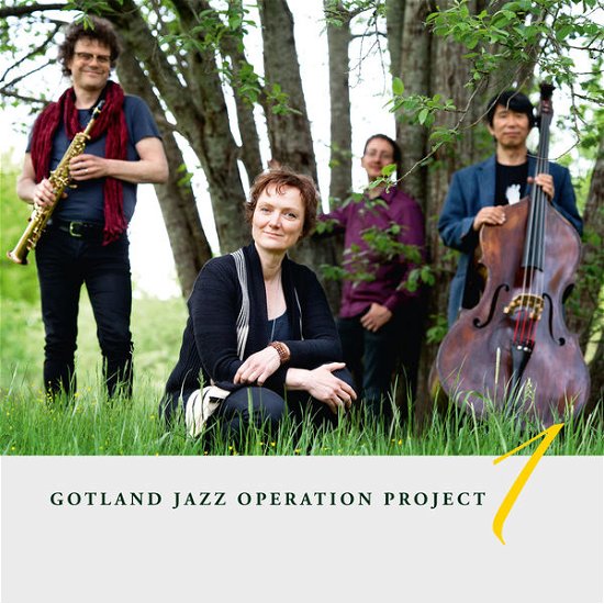 Cover for Maurin,jean-simon / Mauritzson,gunnel / Mori,y. · Gotland Jazz Operation Project I (CD) (2015)