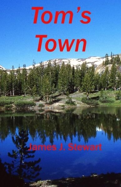 Cover for James J Stewart · Tom's Town (Paperback Book) (2015)