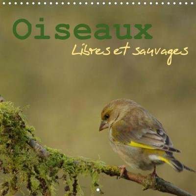 Cover for Jérôme · Oiseaux libres et sauvages (Cale (Bok)
