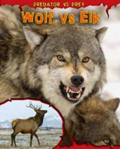 Cover for Mary Meinking · Wolf vs Elk - Predator vs. Prey (Paperback Book) (2012)