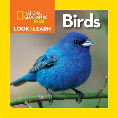 Cover for National Geographic Kids · Look and Learn: Birds - Look&amp;Learn (Tavlebog) (2017)