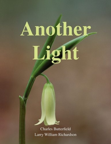 Another Light - Larry William Richardson - Books - Xlibris - 9781436327435 - December 2, 2008
