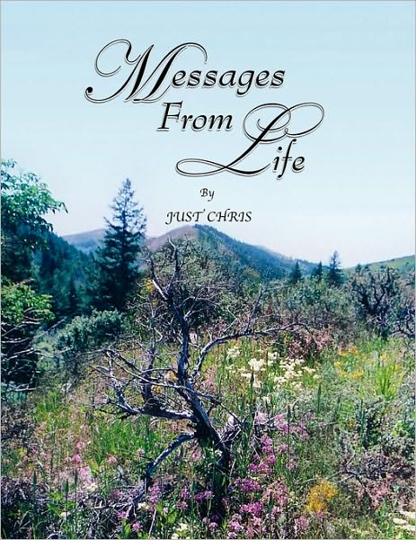Cover for Just Chris · Messages from Life (Paperback Book) (2010)