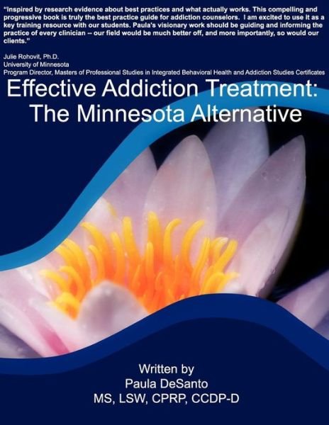 Cover for Ms Paula L Desanto · Effective Addiction Treatment: the Minnesota Alternative (Paperback Bog) (2012)
