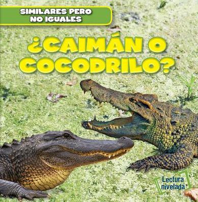 Cover for Rob Ryndak · Caiman O Cocodrilo? (Alligator or Crocodile?) (Paperback Book) (2015)