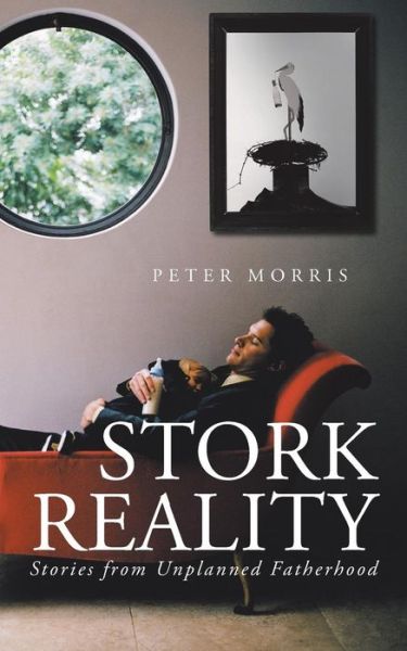 Cover for Peter Morris · Stork Reality: Stories from Unplanned Fatherhood (Paperback Book) (2013)
