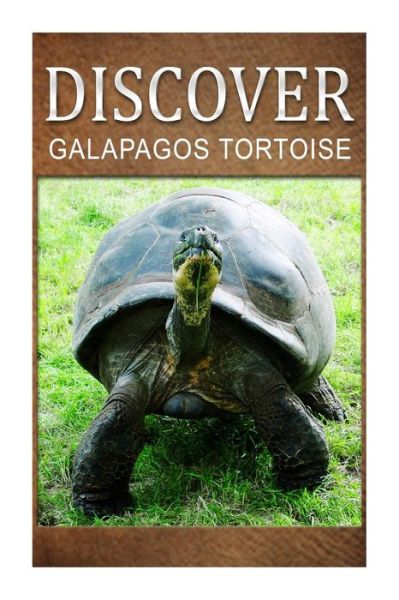 Cover for Discover Press · Galapagos Tortoise - Discover: Early Reader's Wildlife Photography Book (Paperback Book) (2014)