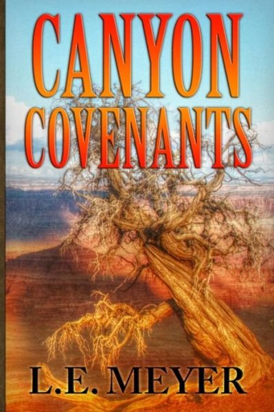 Cover for L E Meyer · Canyon Covenants (Paperback Bog) (2015)