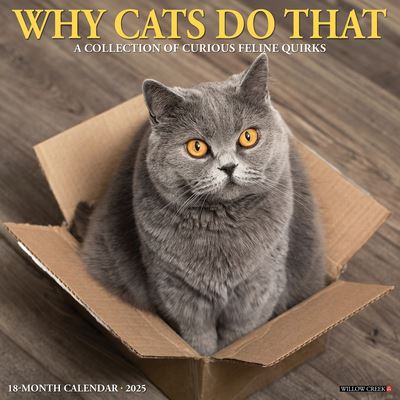 Willow Creek Press · Why Cats Do That 2025 12 X 12 Wall Calendar (Calendar) (2024)