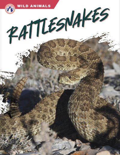 Cover for Libby Wilson · Rattlesnakes (Book) (2023)
