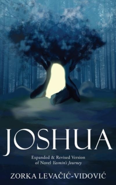 Cover for Zorka LevaÄic-Vidovic · Joshua (Hardcover Book) (2019)