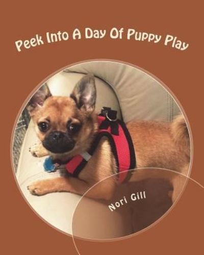 Cover for Nori Gill · Peek Into A Day Of Puppy Play (Paperback Bog) (2018)