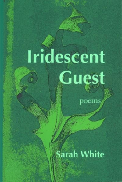 Cover for Sarah White · Iridescent Guest (Bok) (2020)