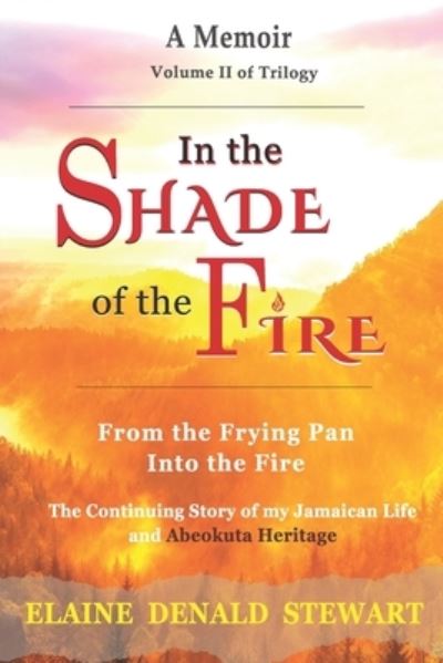 Cover for Elaine Denald Stewart · In the Shade of the Fire (Book) (2022)