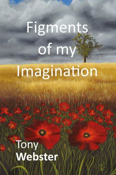 Figments of my Imagination - Tony Webster - Books - New Generation Publishing - 9781787197435 - April 17, 2018