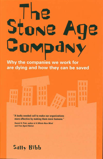 Cover for Sally Bibb · The Stone-age Company: Why the Companies We Work for Won't Survive (Paperback Book) (2005)