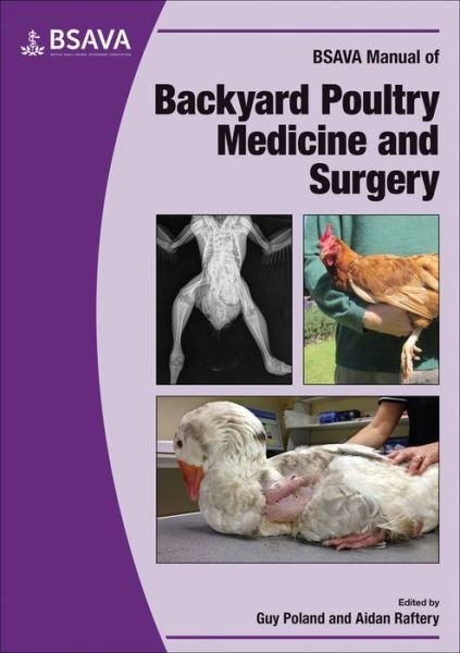 Cover for G Poland · BSAVA Manual of Backyard Poultry - BSAVA British Small Animal Veterinary Association (Pocketbok) (2019)