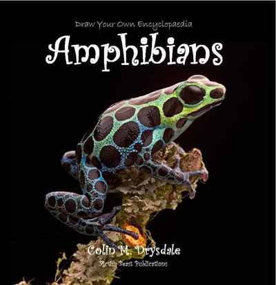 Cover for Colin M Drysdale · Draw Your Own Encyclopaedia Amphibians (Pocketbok) (2018)