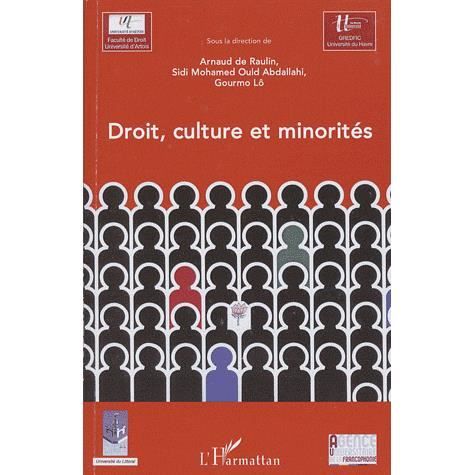Cover for Gourmo Lo · Droit, culture et minorités (Paperback Book) (2020)