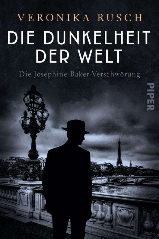 Cover for Rusch · Die Dunkelheit der Welt (Book)