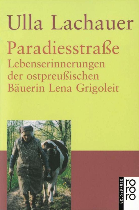 Cover for Ulla Lachauer · Roro Tb.33143 Lachauer.paradiesstr.gr. (Bok)
