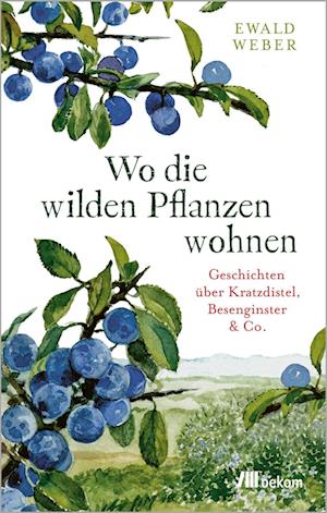 Cover for Ewald Weber · Wo die wilden Pflanzen wohnen (Hardcover Book) (2022)