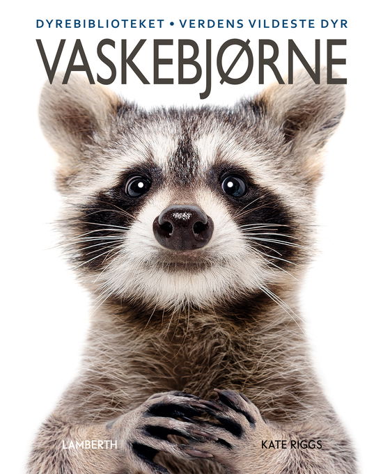 Cover for Kate Riggs · Vaskebjørne (Inbunden Bok) [1:a utgåva] (2023)