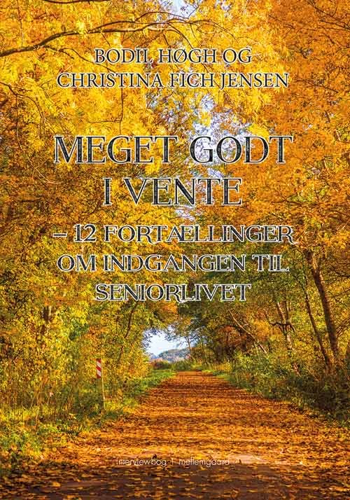 Meget godt i vente - Bodil Høgh og Christina Fich Jensen - Books - Forlaget mellemgaard - 9788793692435 - July 9, 2018