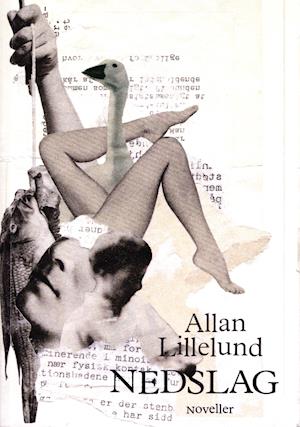 Cover for Allan Lillelund · Nedslag (Sewn Spine Book) [1st edition] (2021)