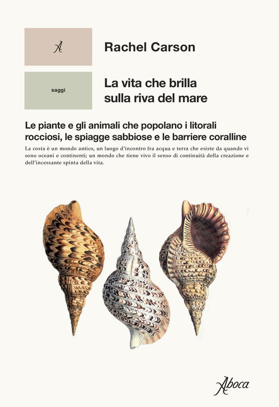 Cover for Rachel Carson · La Vita Che Brilla Sulla Riva Del Mare. Le Piante E Gli Animali Che Popolano I Litorali Rocciosi, Le Spiagge Sabbiose E Le Barriere Co (Book)