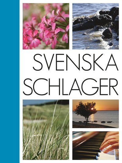 Cover for Ingemar Hahne · Svenska schlager (Gebundesens Buch) (2017)