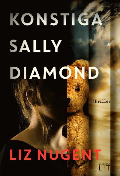 Liz Nugent · Konstiga Sally Diamond (Landkarten) (2024)