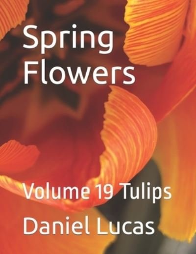 Cover for Daniel Lucas · Spring Flowers: Volume 19 Tulips (Pocketbok) (2021)