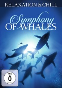 Cover for Relaxation &amp; Chill · Symphony of Whales (DVD) (2016)
