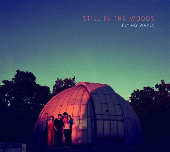 Flying Waves - Still in the Woods - Musik - IN-AKUSTIK - 4012116422436 - 29. november 2019