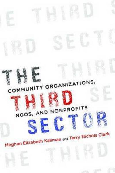 Cover for Meghan Kallman · The Third Sector: Community Organizations, NGOs, and Nonprofits (Hardcover bog) (2016)