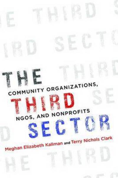 Cover for Meghan Kallman · The Third Sector: Community Organizations, NGOs, and Nonprofits (Hardcover Book) (2016)