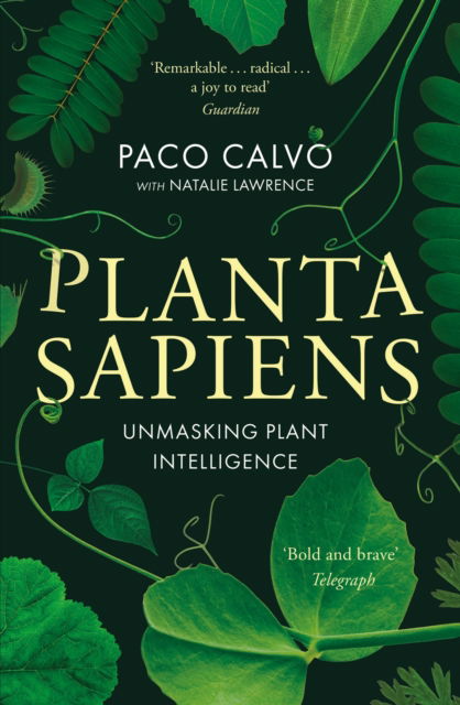 Cover for Paco Calvo · Planta Sapiens: Unmasking Plant Intelligence (Paperback Book) (2023)