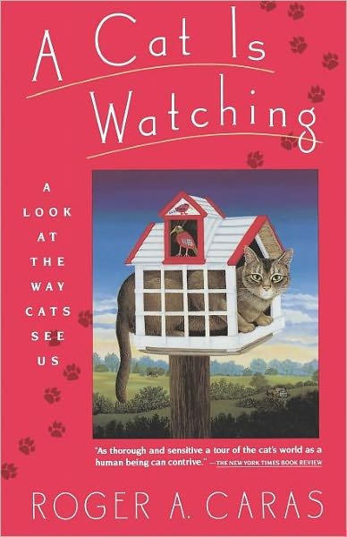 Cover for Roger A. Caras · A Cat is Watching (Paperback Book) [Reprint edition] (1990)