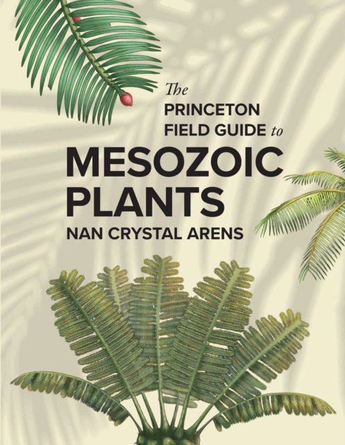 Cover for Nan Crystal Arens · The Princeton Field Guide to Mesozoic Plants - Princeton Field Guides (Gebundenes Buch) (2025)
