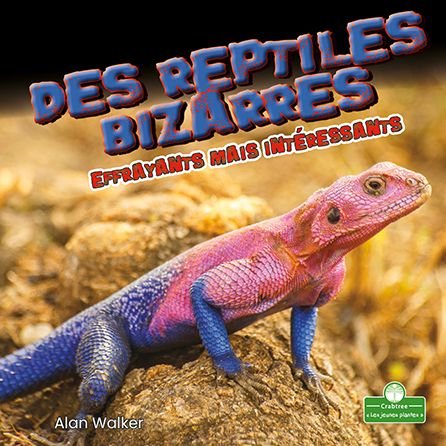 Cover for Alan Walker · Des Reptiles Bizarres Et Effrayants Mais Interessants (Paperback Book) (2021)