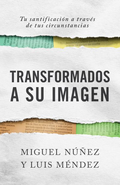 Cover for Miguel Nunez · Consejería bíblica (Paperback Book) (2023)